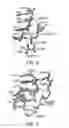 Fig. 09 - SCREENING METHOD AND COMPOUNDS FOR MODULATING TELOMERASE ACTIVITY