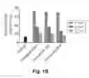 Fig. 03 - Selective HDAC1 and HDAC2 inhibitors