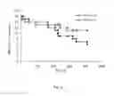 Fig. 04 - SERCA INHIBITOR AND CALMODULIN ANTAGONIST COMBINATION