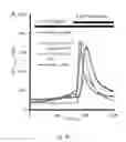 Fig. 05 - SERCA INHIBITOR AND CALMODULIN ANTAGONIST COMBINATION
