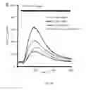 Fig. 06 - SERCA INHIBITOR AND CALMODULIN ANTAGONIST COMBINATION