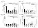 Fig. 02 - Polymorphisms in ABCB1 associated with a lack of clinical response to medicaments