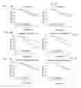 Fig. 04 - Polymorphisms in ABCB1 associated with a lack of clinical response to medicaments
