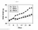 Fig. 06 - Methods And Compositions For Preventing Or Treating Obesity