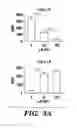 Fig. 08 - METHODS FOR TREATING IMMUNE DISEASES