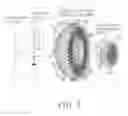 Fig. 04 - Compositions and methods for preparation of synthetic alpha-gal nanoparticles and for their clinical use