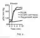 Fig. 10 - HOLLOW PARTICLES ENCAPSULATING A BIOLOGICAL GAS AND METHODS OF USE