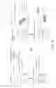 Fig. 13 - HOLLOW PARTICLES ENCAPSULATING A BIOLOGICAL GAS AND METHODS OF USE