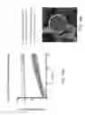 Fig. 15 - HOLLOW PARTICLES ENCAPSULATING A BIOLOGICAL GAS AND METHODS OF USE