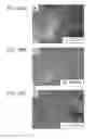 Fig. 42 - Compositions and methods for cardiac tissue repair