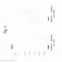 Fig. 04 - Method for producing sheet-shaped cell culture