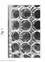 Fig. 05 - Method for producing sheet-shaped cell culture