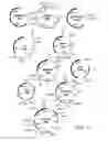 Fig. 02 - bacteriophage and uses thereof
