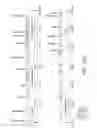 Fig. 10 - bacteriophage and uses thereof