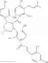 Fig. 64 - Compositions and Methods for Joint Health