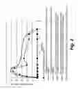 Fig. 03 - Sustained release formulations of curcuminoids and method of preparation thereof