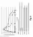 Fig. 09 - Sustained release formulations of curcuminoids and method of preparation thereof