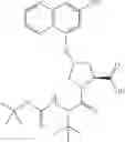 Fig. 161 - Hepatitis C virus inhibitors