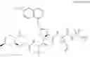 Fig. 233 - Hepatitis C virus inhibitors