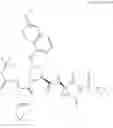Fig. 305 - Hepatitis C virus inhibitors