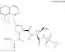 Fig. 468 - Hepatitis C virus inhibitors