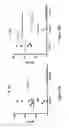Fig. 03 - Compositions and methods for the systemic treatment of arthritis