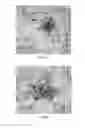 Fig. 05 - Fungal immunogens and related materials and methods