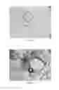 Fig. 06 - Fungal immunogens and related materials and methods