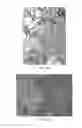 Fig. 11 - Fungal immunogens and related materials and methods