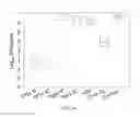 Fig. 12 - Fungal immunogens and related materials and methods