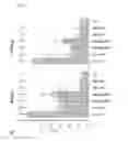 Fig. 03 - Vaccine formulation for ocular immunization