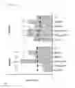 Fig. 07 - Vaccine formulation for ocular immunization