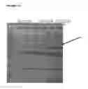 Fig. 31 - OMV vaccines