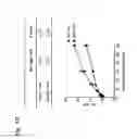 Fig. 03 - Recombinant neuraminidase and uses thereof