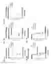 Fig. 08 - Recombinant neuraminidase and uses thereof