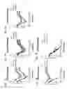 Fig. 09 - Recombinant neuraminidase and uses thereof