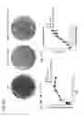 Fig. 18 - Recombinant neuraminidase and uses thereof