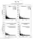 Fig. 12 - Human Immunodeficiency Virus type 1 group M consensus and mosaic envelope glycoproteins