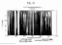 Fig. 56 - Human Immunodeficiency Virus type 1 group M consensus and mosaic envelope glycoproteins