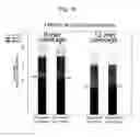 Fig. 59 - Human Immunodeficiency Virus type 1 group M consensus and mosaic envelope glycoproteins