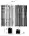Fig. 63 - Human Immunodeficiency Virus type 1 group M consensus and mosaic envelope glycoproteins