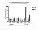 Fig. 10 - E1E2 HCV VACCINES AND METHODS OF USE