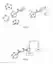 Fig. 06 - Generating peptoid vaccines