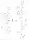 Fig. 09 - Generating peptoid vaccines