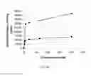 Fig. 03 - PSMA binding ligand-linker conjugates and methods for using