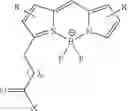 Fig. 65 - PSMA binding ligand-linker conjugates and methods for using