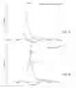 Fig. 02 - Protein derivatization to endow cell penetration