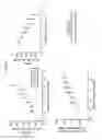 Fig. 12 - APJ RECEPTOR AGONISTS AND USES THEREOF