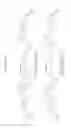 Fig. 19 - APJ RECEPTOR AGONISTS AND USES THEREOF