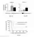 Fig. 04 - Method of preventing and treating type 1 diabetes, allograft rejection and lung fibrosis (by targeting the ATP/P2X7R axis)